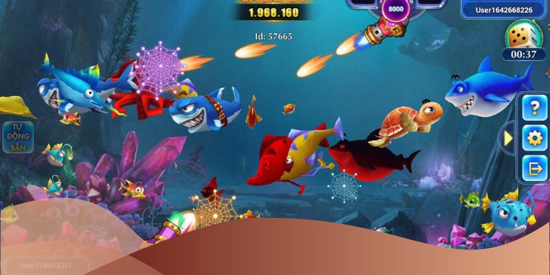 Tìm hiểu về các loại cá quý và các bonus đặc biệt trong game